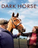 poster_dark-horse_tt4137902.jpg Free Download