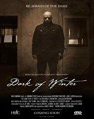 Dark of Winter poster