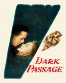 Dark Passage Free Download