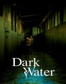 poster_dark-water_tt0308379.jpg Free Download