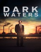 poster_dark-waters_tt9071322.jpg Free Download