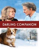 Darling Companion poster