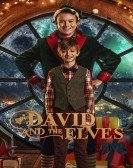 poster_david-and-the-elves_tt15565714.jpg Free Download