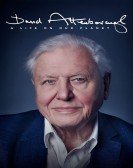 poster_david-attenborough-a-life-on-our-planet_tt11989890.jpg Free Download