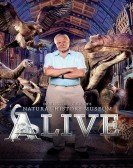 poster_david-attenboroughs-natural-history-museum-alive_tt3438608.jpg Free Download