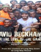 poster_david-beckham-for-the-love-of-the-game_tt5257656.jpg Free Download