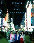 Dawn of the Felines (2017) Free Download