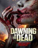 poster_dawning-of-the-dead_tt3332282.jpg Free Download