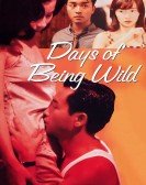 Days of Being Wild Free Download