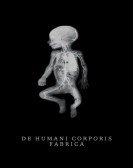 De Humani Corporis Fabrica Free Download