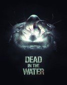 Dead in the Water (2018) Free Download