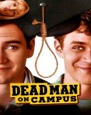 Dead Man on Campus Free Download