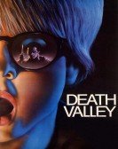 Death Valley poster