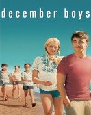 poster_december-boys_tt0465436.jpg Free Download