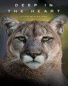 Deep in the Heart: A Texas Wildlife Story Free Download