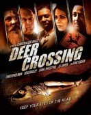 Deer Crossing poster