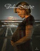 Delicate State poster