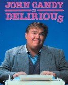 poster_delirious_tt0101701.jpg Free Download