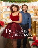 poster_deliver-by-christmas_tt11847642.jpg Free Download