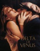 Delta of Venus (1995) poster