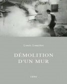 Demolition U Free Download