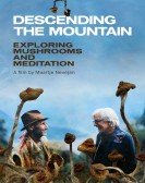 poster_descending-the-mountain_tt17061814.jpg Free Download