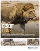 Desert Lions poster