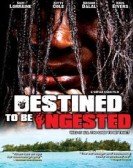 Destined to be Ingested Free Download