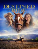 poster_destined-to-ride_tt7218564.jpg Free Download