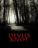 Devil's Knot poster