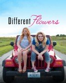 Different Flowers Free Download