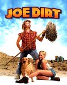 Dirt poster