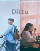 Ditto Free Download