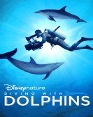 poster_diving-with-dolphins_tt12100080.jpg Free Download