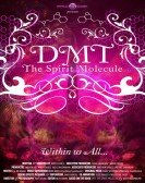 DMT: The Spirit Molecule Free Download