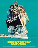 poster_doctors-wives_tt0067004.jpg Free Download