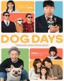 Dog Days poster