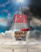 poster_dog-days_tt3548328.jpg Free Download