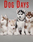 poster_dog-days_tt5329804.jpg Free Download