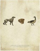 poster_dog-meet-goose_tt2246661.jpg Free Download