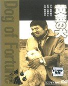 poster_dog-of-fortune_tt0324674.jpg Free Download