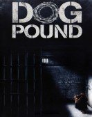 Dog Pound (2010) Free Download