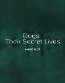 Dogs: Their Secret Lives Free Download