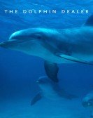 poster_dolphins-and_tt1372724.jpg Free Download