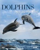 Dolphins: Spy In The Pod Free Download