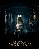 poster_down-a-dark-hall_tt2372251.jpg Free Download