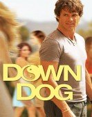 Down Dog Free Download