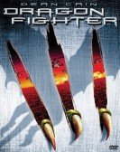 Dragon Fighter poster