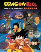 Dragon Ball: Curse of the Blood Rubies Free Download