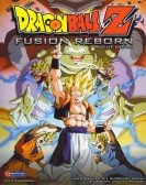 Dragon ball Z 12: Fusion Reborn Free Download